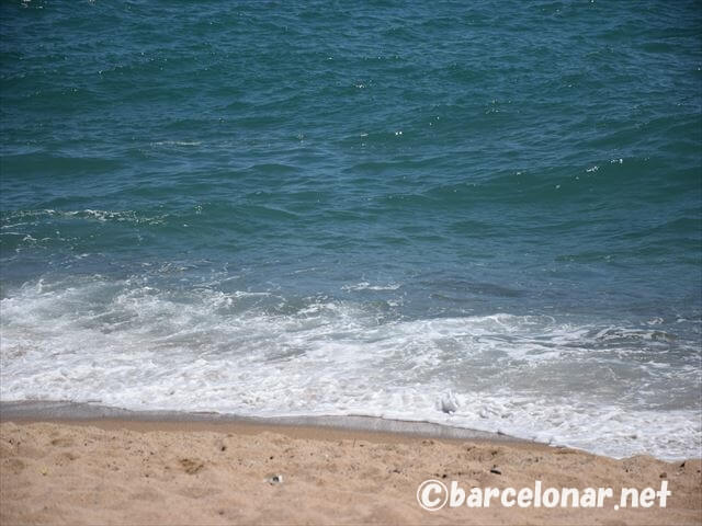 バルセロナのおすすめビーチ・バダロナ！アクセスと観光